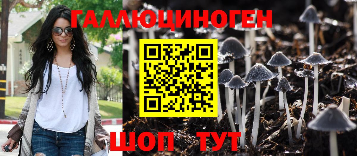 Галлюциногенные грибы Psilocybine cubensis Орехово-Зуево