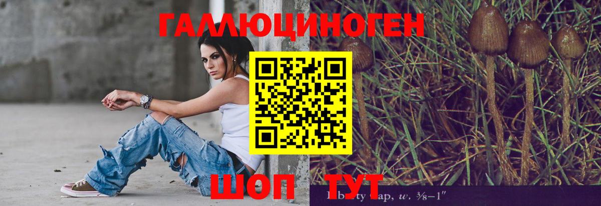 Галлюциногенные грибы мухоморы  цены наркотик  Орехово-Зуево  Вход с VPN 